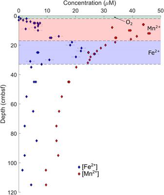 Assessing Sedimentary Boundary Layer Calcium Carbonate Precipitation and Dissolution Using the Calcium Isotopic Composition of Pore Fluids